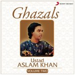 Ghazals, Vol. 2 - Akhil Sachdeva Song Download